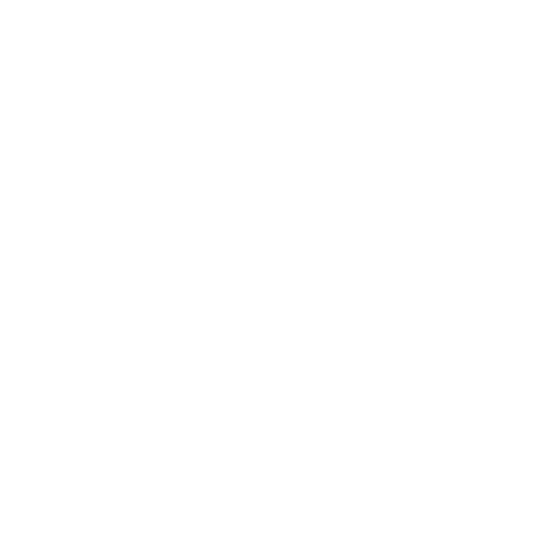 NHS co 2004 reunion logo